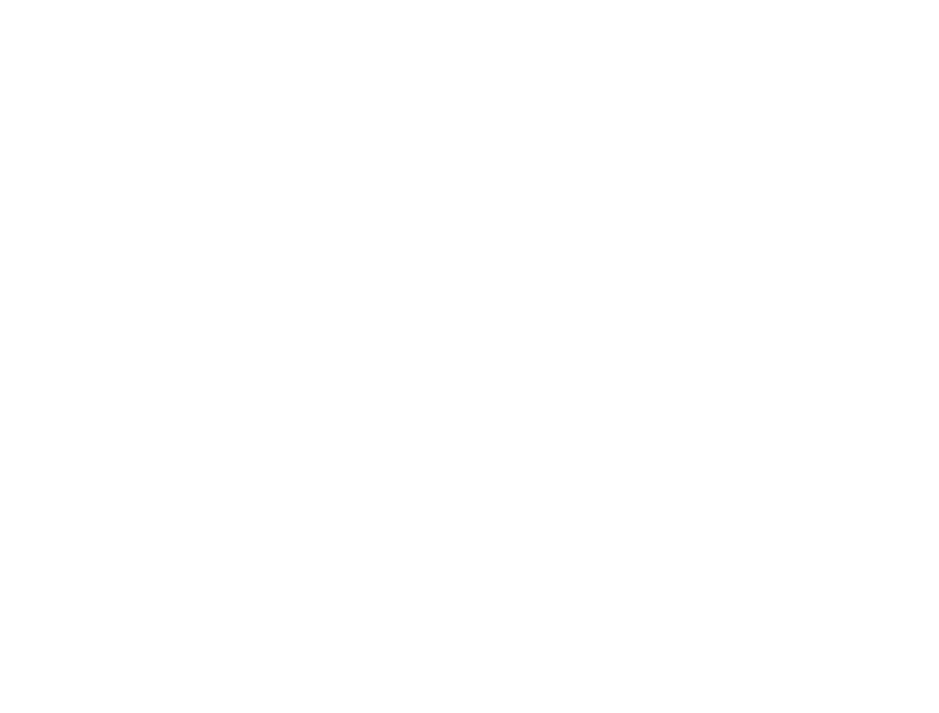 logo lab3040